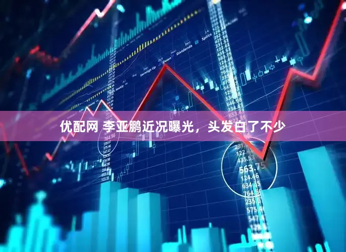 优配网 李亚鹏近况曝光，头发白了不少